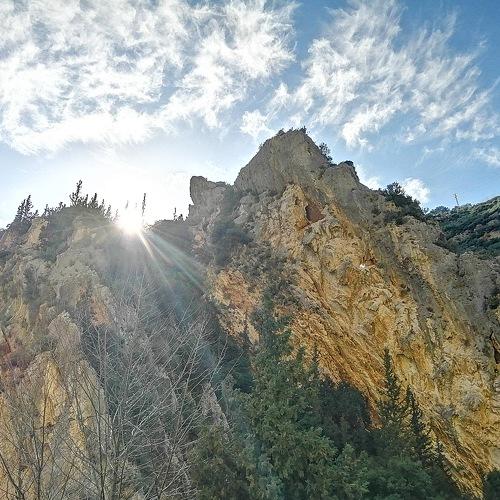 Photo #4461470