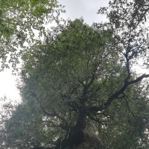 Photo #4461675