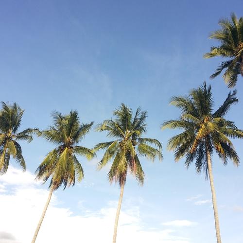 Photo #4461713