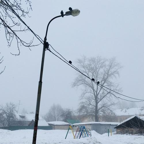 Photo #4462129