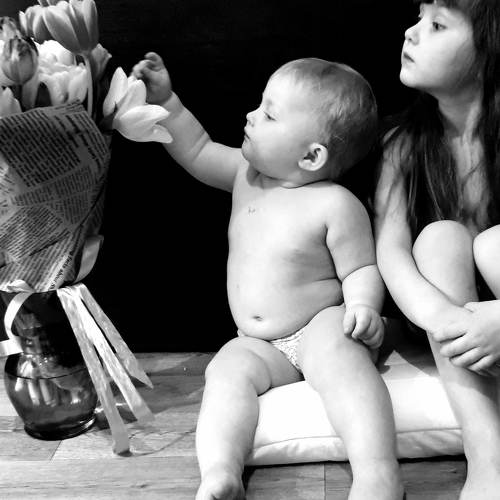 Photo #4462305