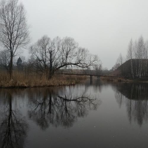 Photo #4462385