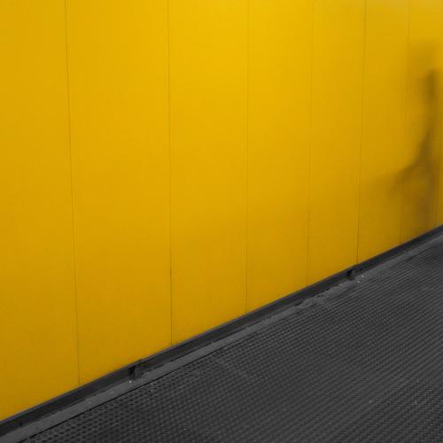 Photo #4462601
