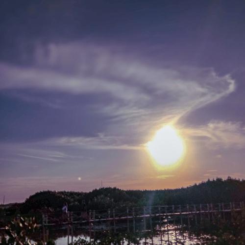 Setting the Sunset