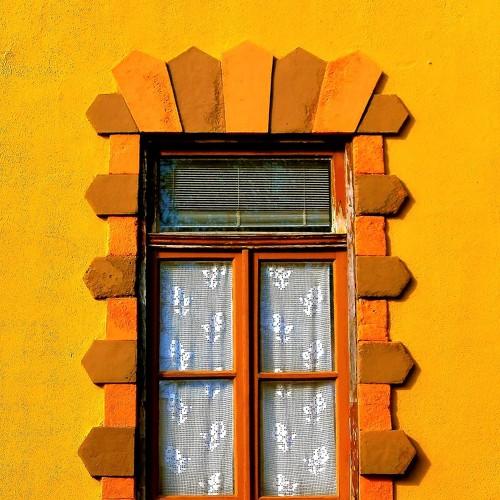 Photo #4462741