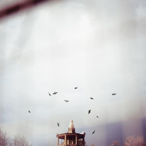 Photo #4462930
