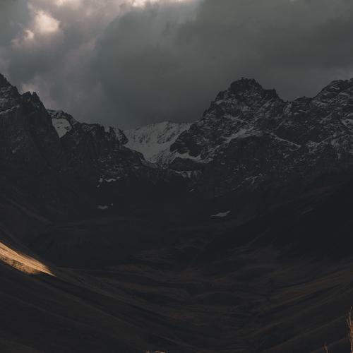 Photo #4462953