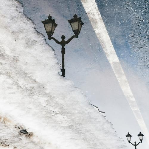 Photo #4462977