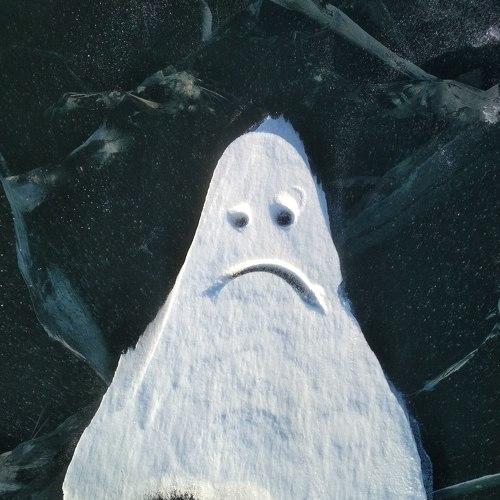Photo #4462992