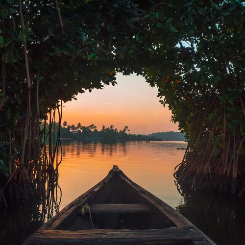 Sunrise canoe ride