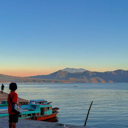 Photo #4463159