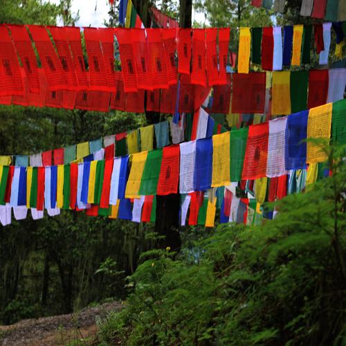 Photo #4463598