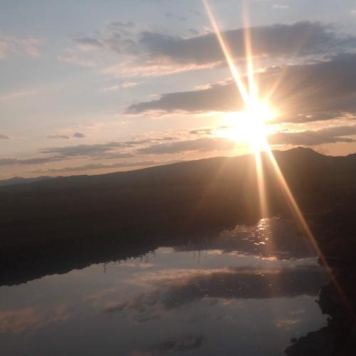 Reflective Beauty