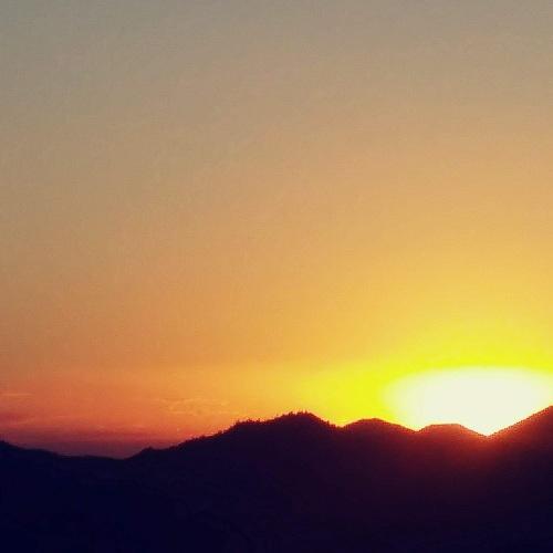 Sunset Silhouette
