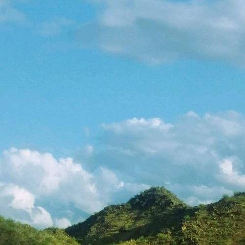 Scapes of Nature