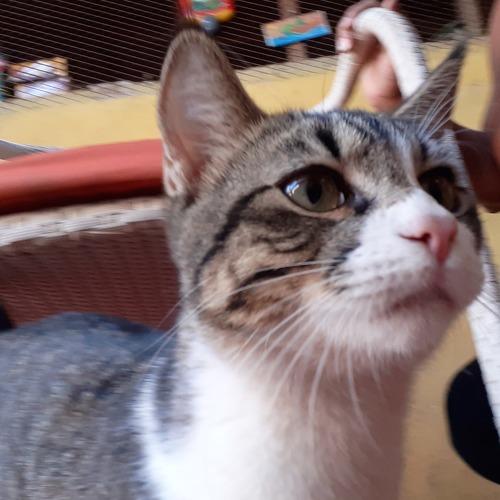 Photo #4463890