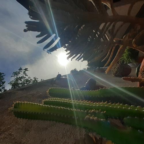 Photo #4463945