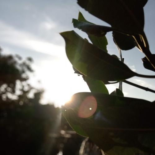 Photo #4464490
