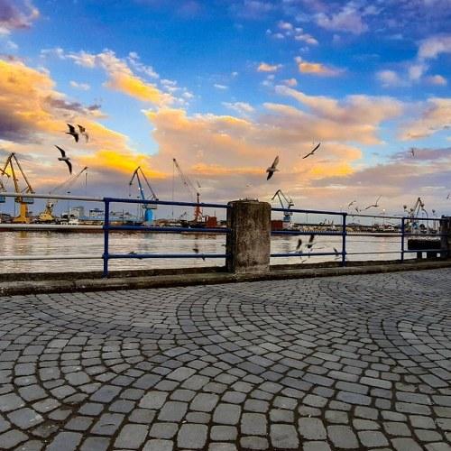 Photo #4464576