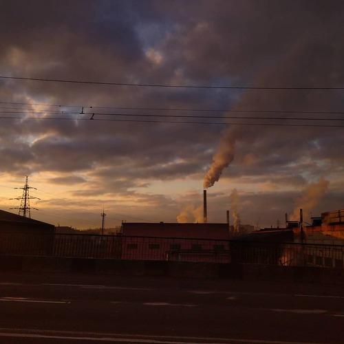 Photo #4464590