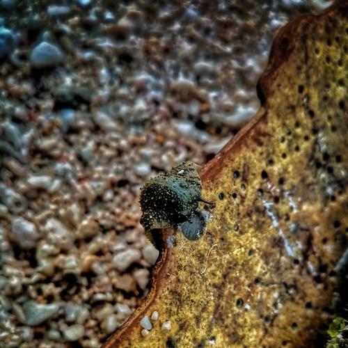 Photo #4464704