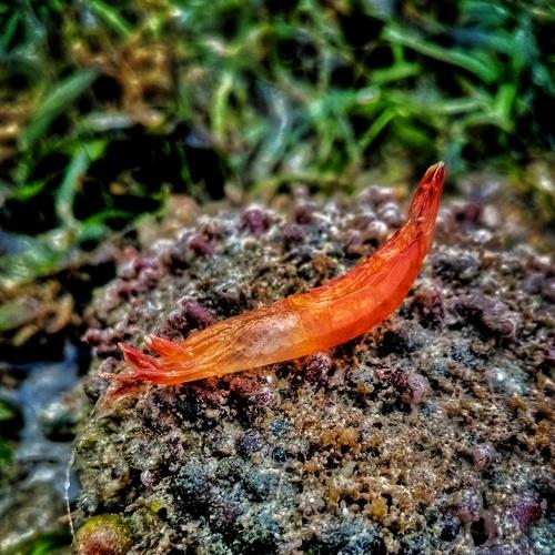 Photo #4464706