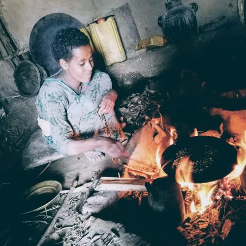 Photo #4464764