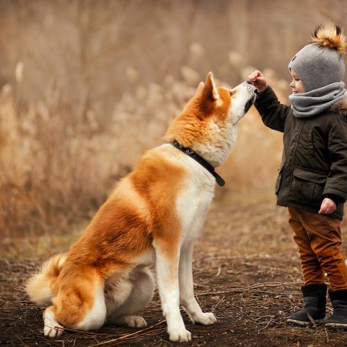 Photo #4464868