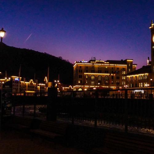 Photo #4464950