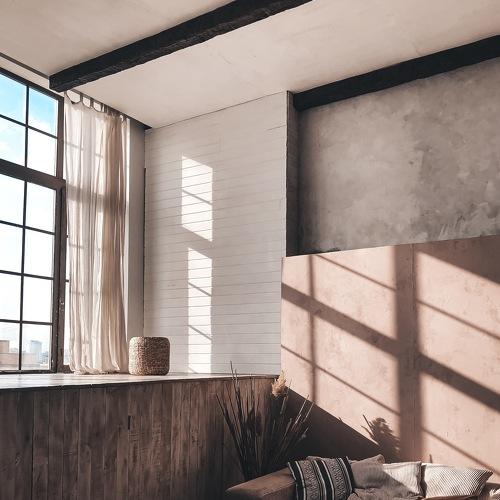 Photo #4465054