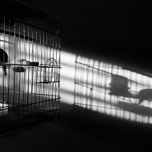 Photo #4465093