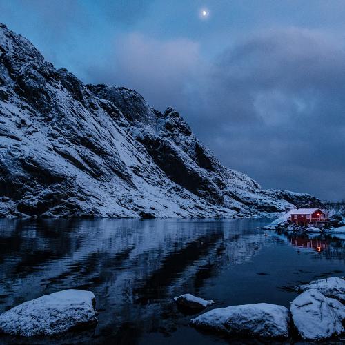 Photo #4465230