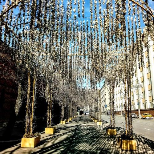 Photo #4465310