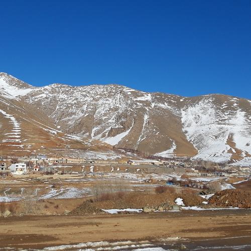 Photo #4465555