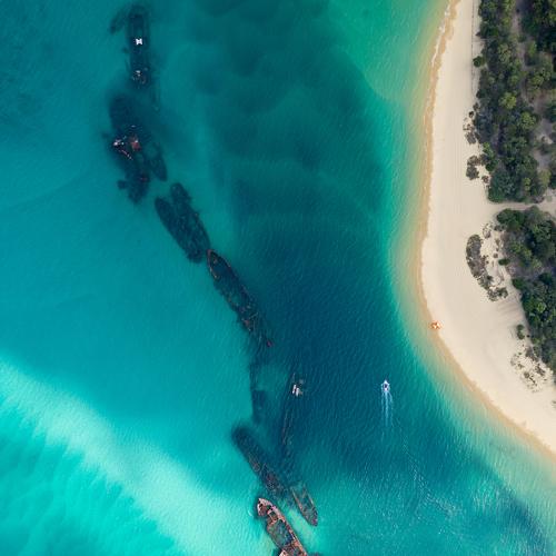 Photo #4465620