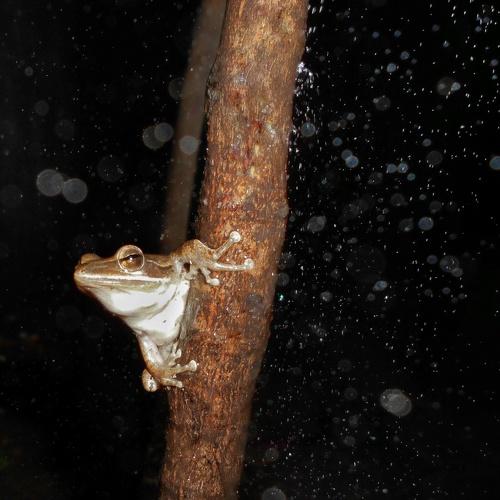 Photo #4465827