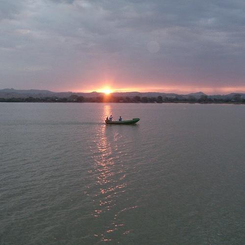 Photo #4465946
