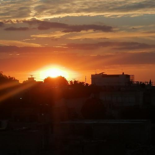 Photo #4466410
