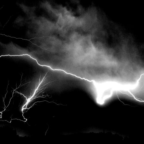 Photo #4466482