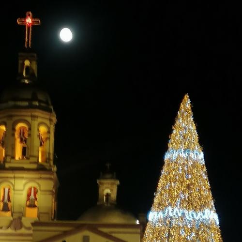 Photo #4466507
