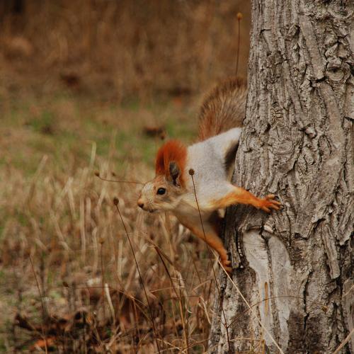 Photo #4466549
