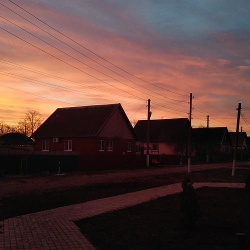 Photo #4466792