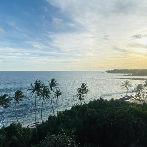 Photo #4467005