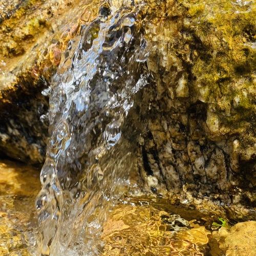 Photo #4467009