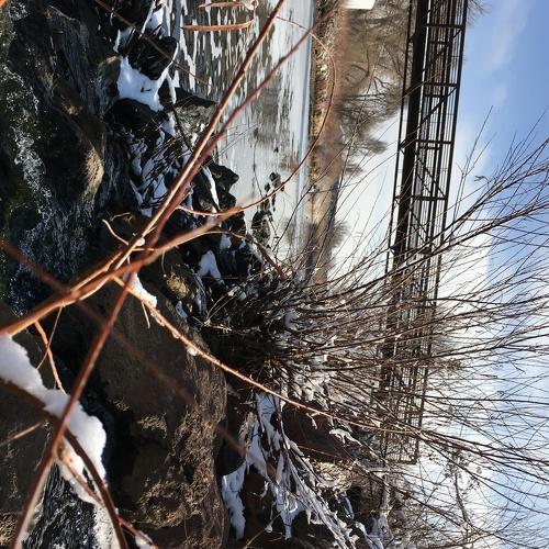 Photo #4467166