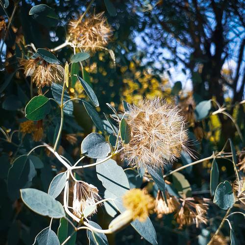 Photo #4467265