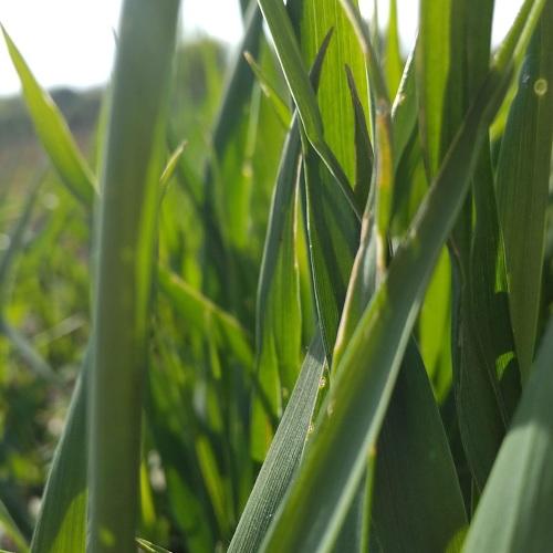 Photo #4467337