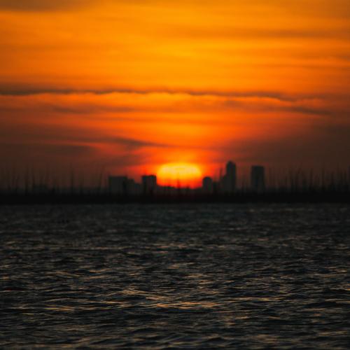 Photo #4468040