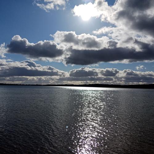 Photo #4468423