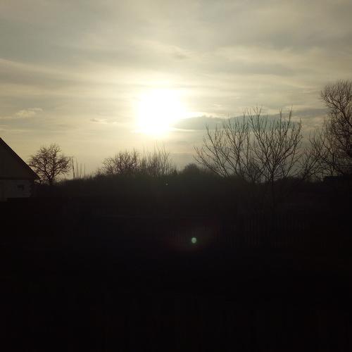 Photo #4468467